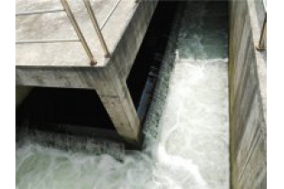 生化出水氨氮超標是怎么回事，要怎么辦