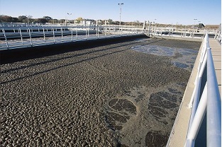 【干貨】泥齡導致的氨氮超標？那這種情況該如何處理呢？